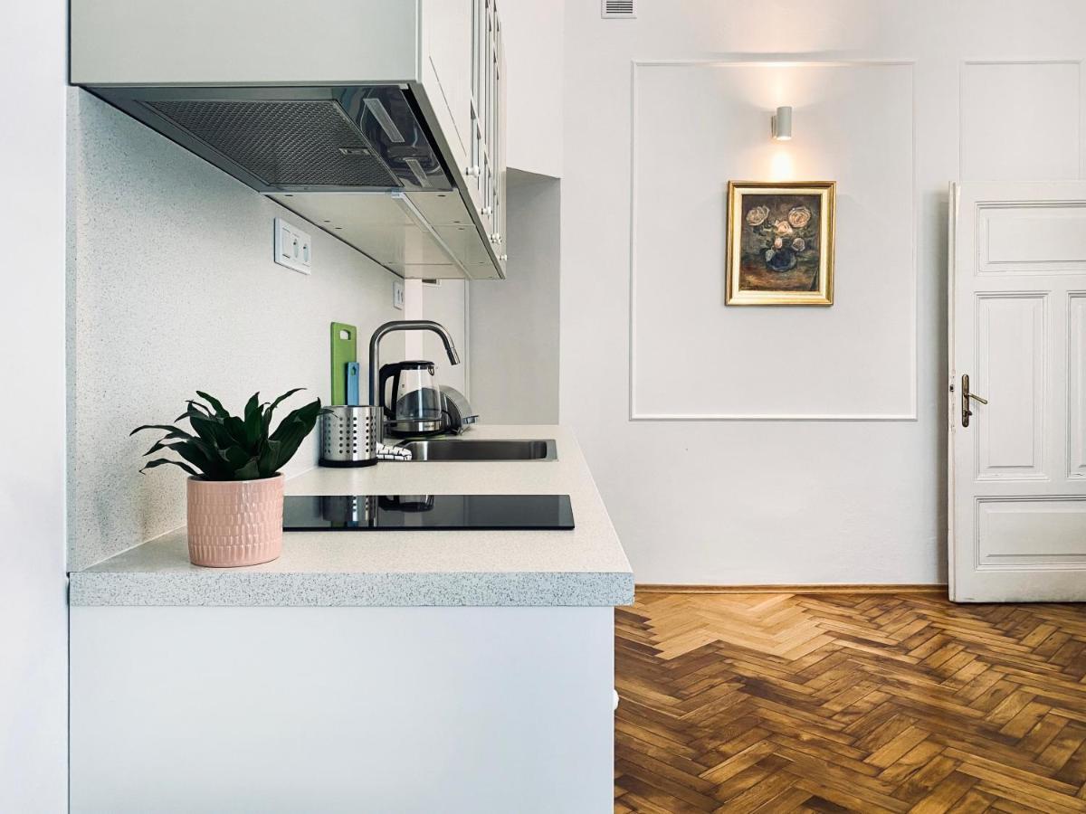 Beautiful Apartment With Two Rooms, Cracow Old Town Krasków Exterior foto
